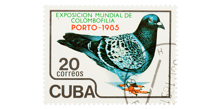 Brightlines Cuban Pigeon Stamp