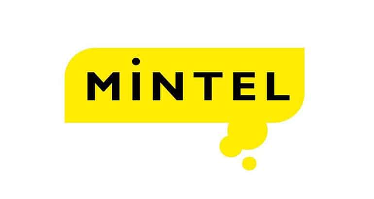 Mintel Brightlines Translation